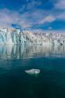 Lilliehook Glacier reflects on arctic waters Lilliehookfjorden-Spitsbergen Island-Norway Art Print